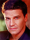 David Boreanaz