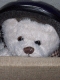 teddy90
