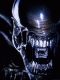 Darkmaster