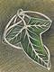 Lothlorien