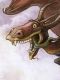 Dragonlance