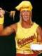 Hulk Hogan