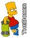 TheBoxer