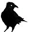 newer_more