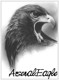 ArsenalEagle