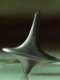 Dave_ff