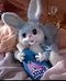 Ms.Rabbit