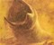 Scevola