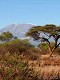Masai