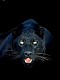 jirik.hrouda