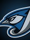bluejay