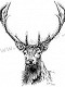 lucinka98765