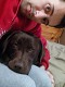 matis99