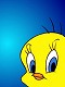 Tweety11