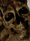 biohazard66