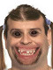 bobek_kam