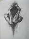 NotArt