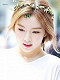 SweetoDoggu