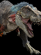 Marasuchus17