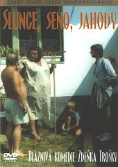 Slunce, seno, jahody