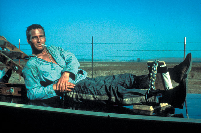 Cool Hand Luke