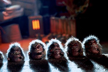 Critters (1986) | Galerie | ČSFD.cz