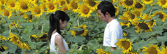 Ima Ai Ni Yukimasu Ostentatious