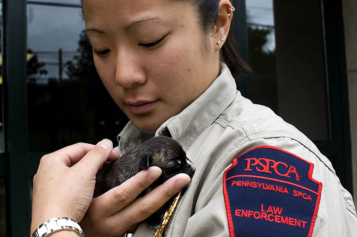 Veterinární policie: Filadelfie