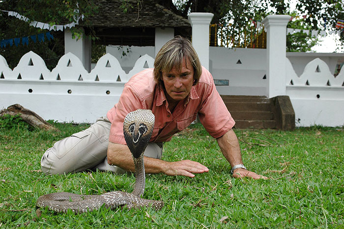 In Search of the King Cobra