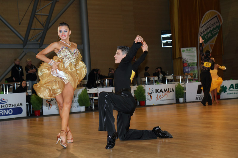 Brno Open 2011