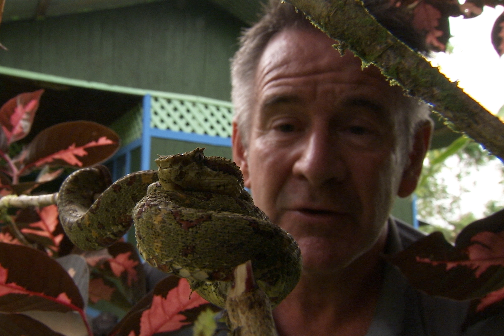 Ten Deadliest Snakes with Nigel Marven