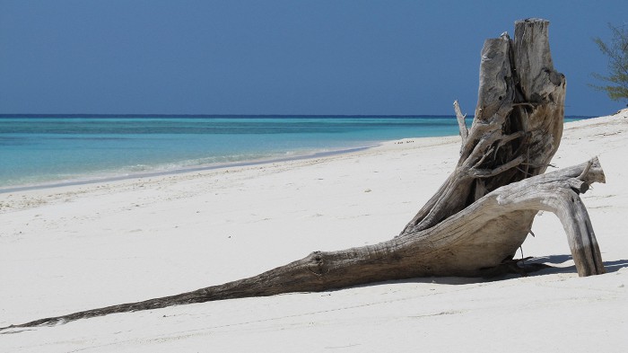 Aldabra: Byl jednou jeden ostrov Aldabra: Byl jednou jeden ostrov