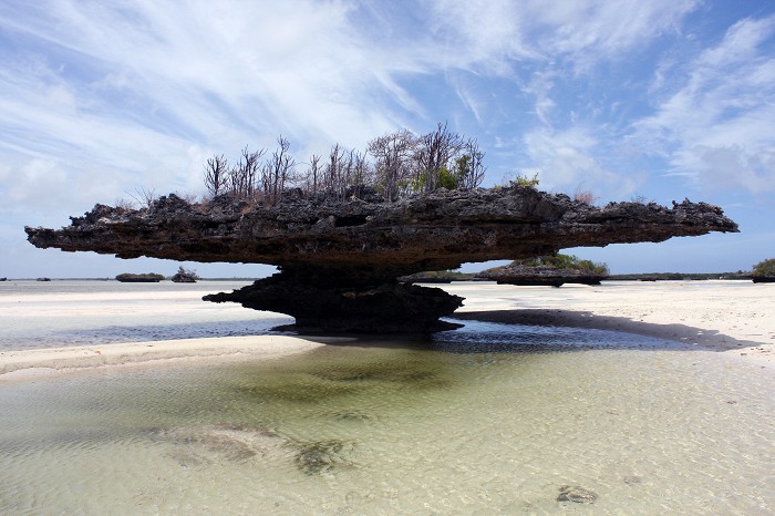 Aldabra: Byl jednou jeden ostrov Aldabra: Byl jednou jeden ostrov
