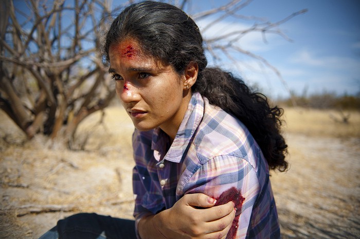 Desierto (2015)