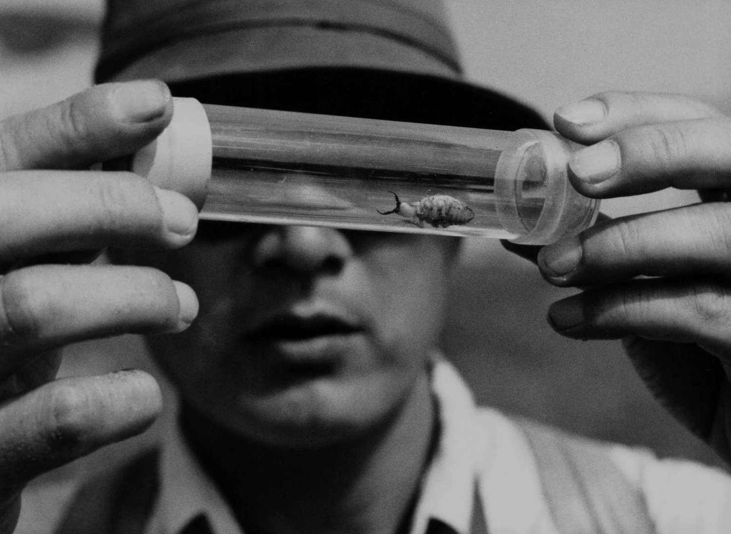 Psen ena / Suna no onna (1964) | alahlia.info - CSFD