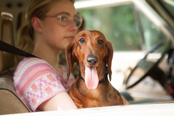 Wiener-Dog (2016)