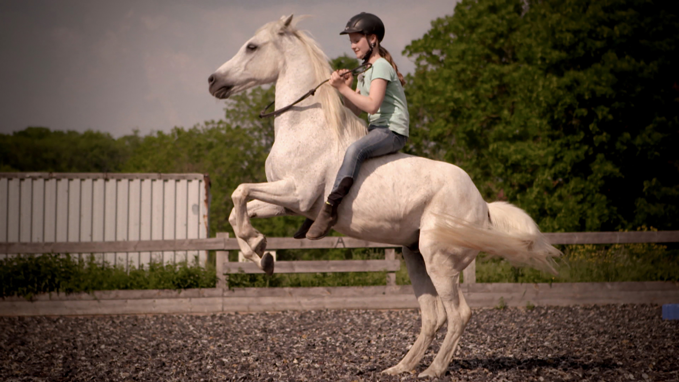 HipHorses - Du und dein Pferd