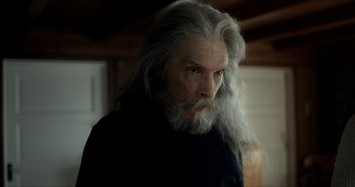 Shelley (2016)