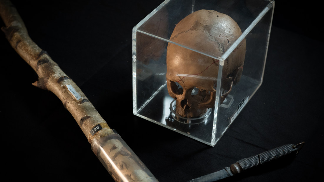 Catching History's Criminals: The Forensics Story