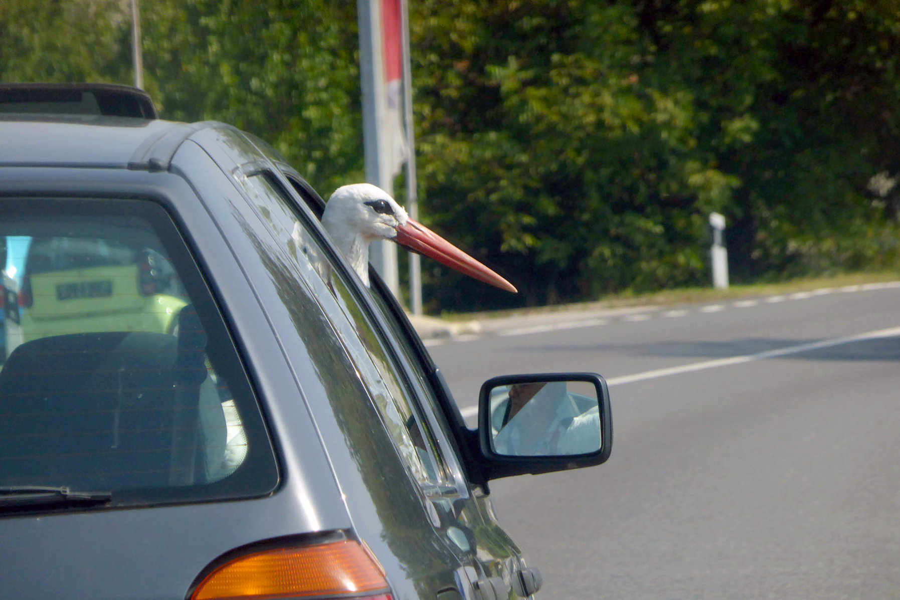 Der alte Mann und der Storch