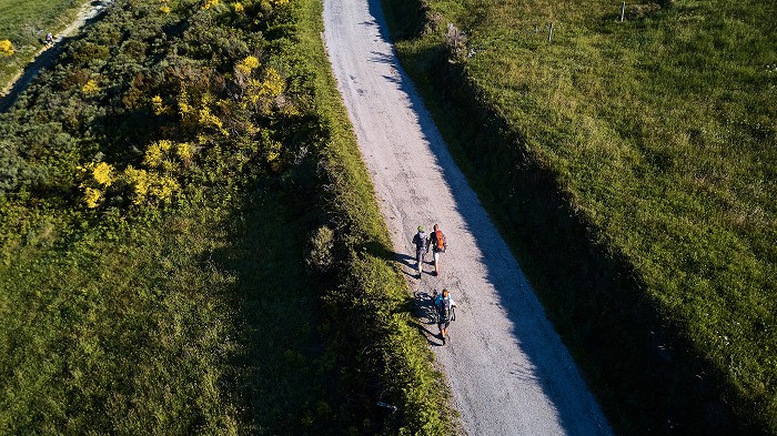 Camino na kolečkách Camino na kolečkách