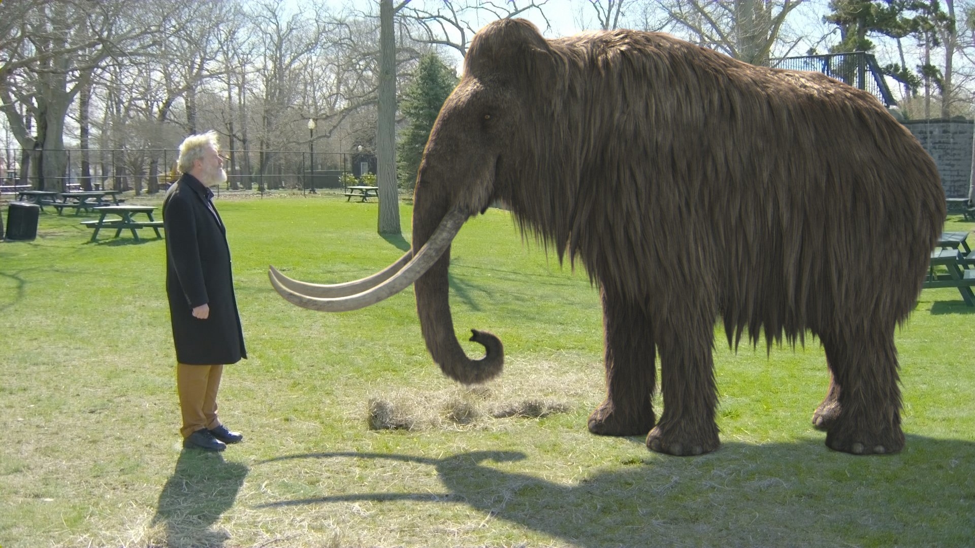 Woolly Mammoth: The Autopsy