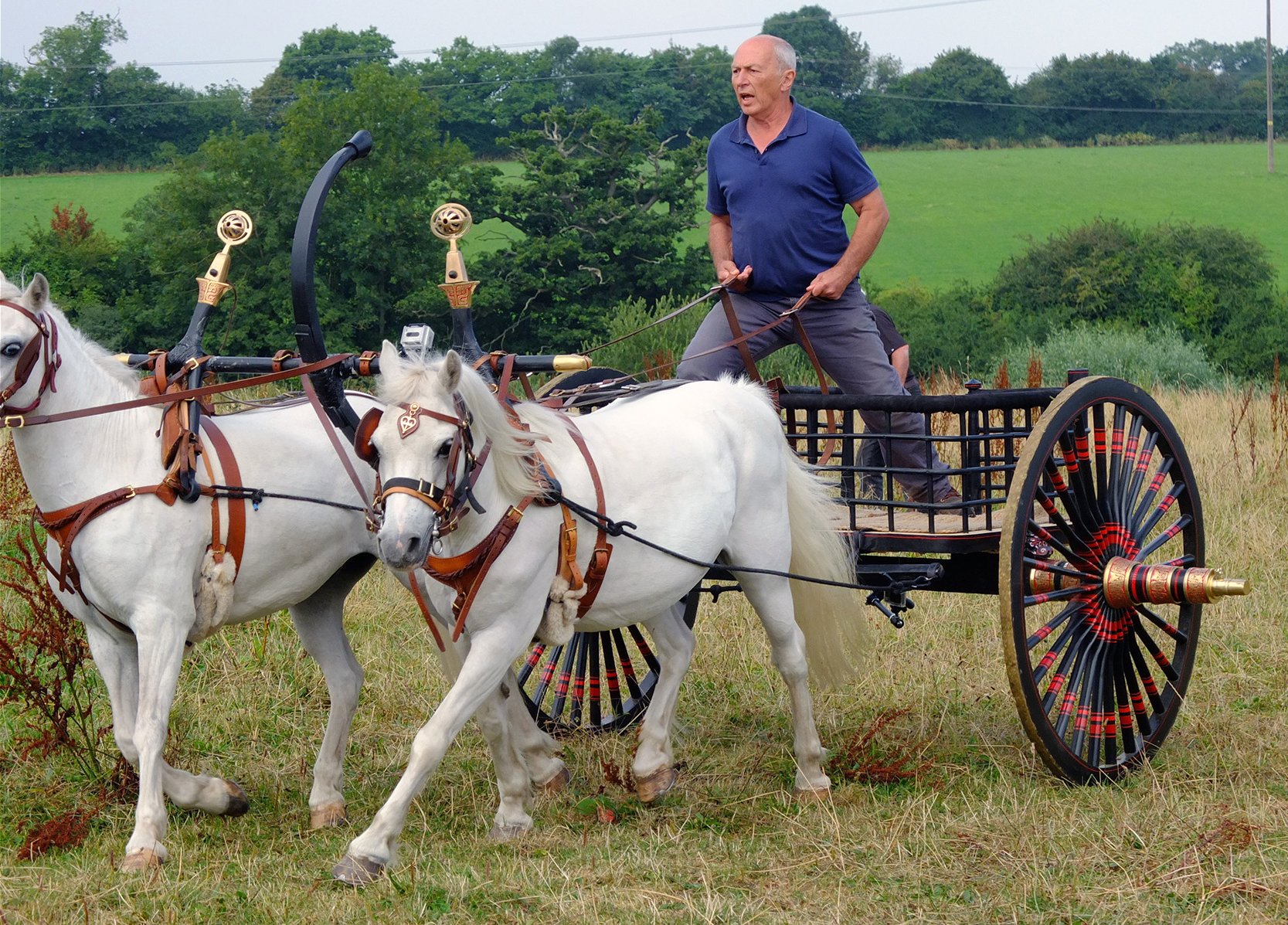 Der Streitwagen der chinesischen Zhou-Dynastie