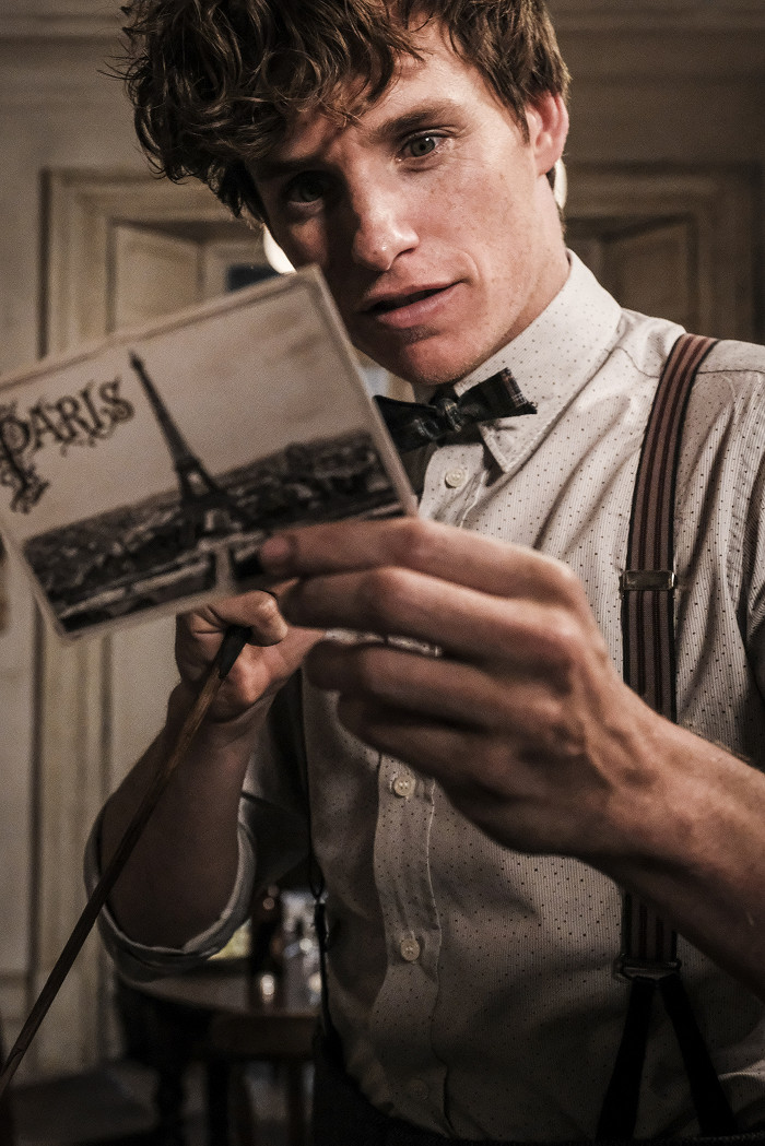 Fantastická zvířata: Grindelwaldovy zločiny