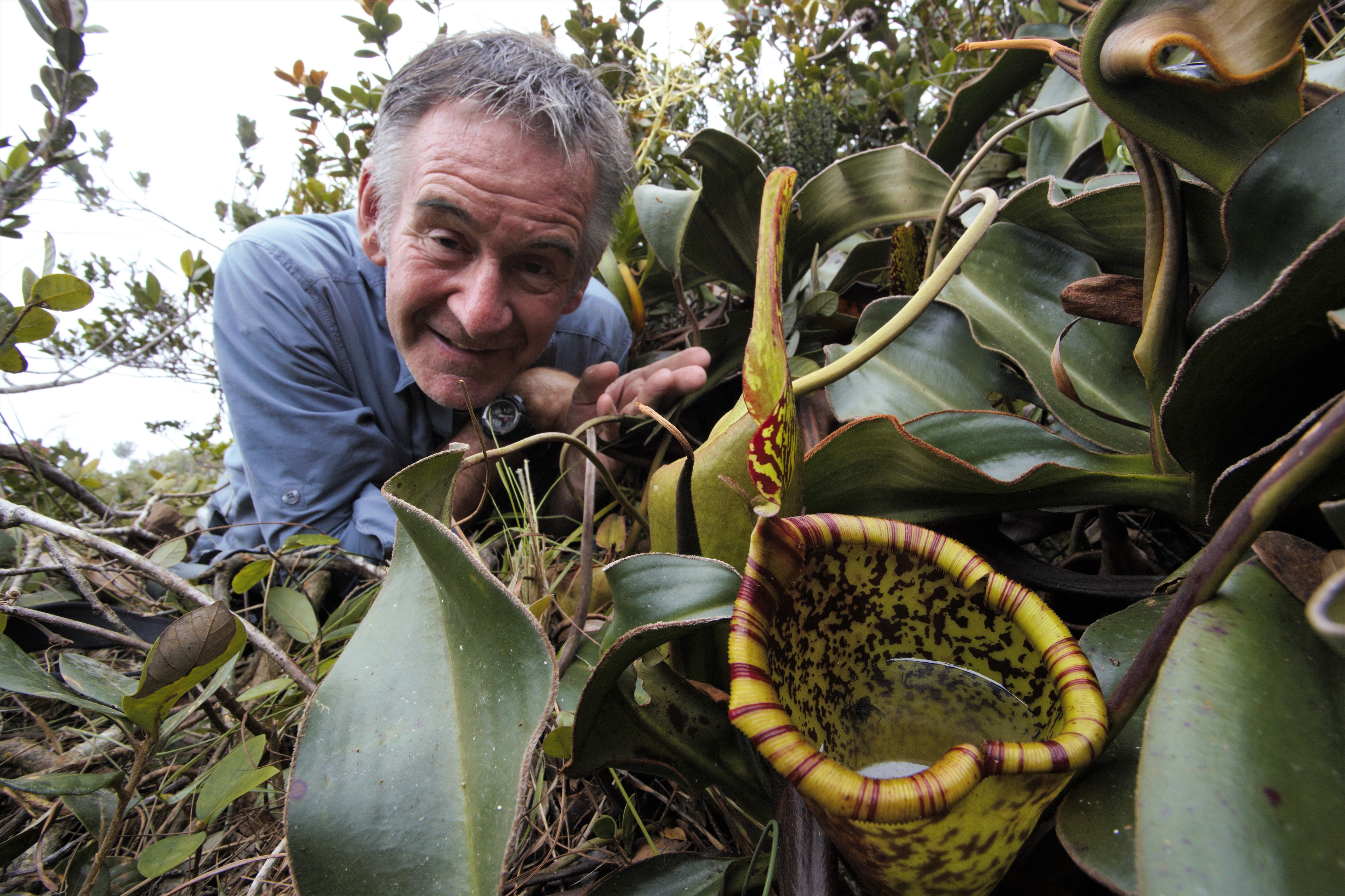 Nigel Marven's Wild Philippines