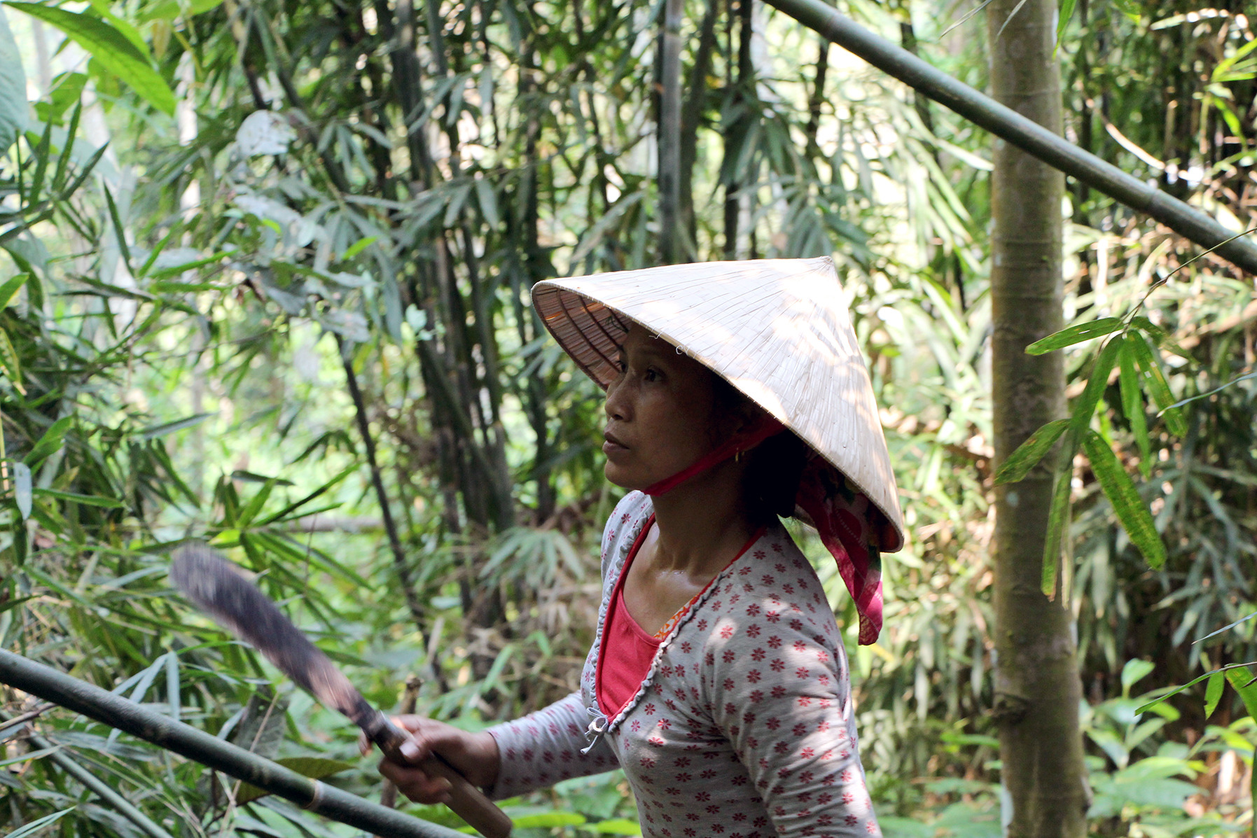 Geheimnisse Asiens – Die schönsten Nationalparks