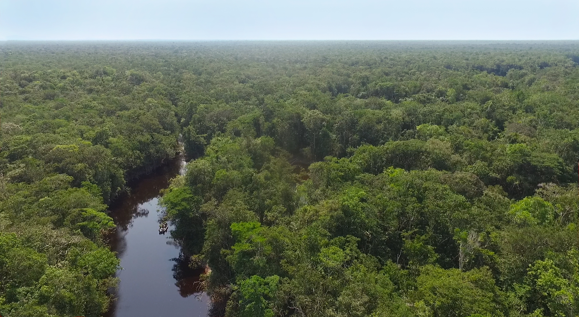 Uakari, Humboldtova ztracená opice