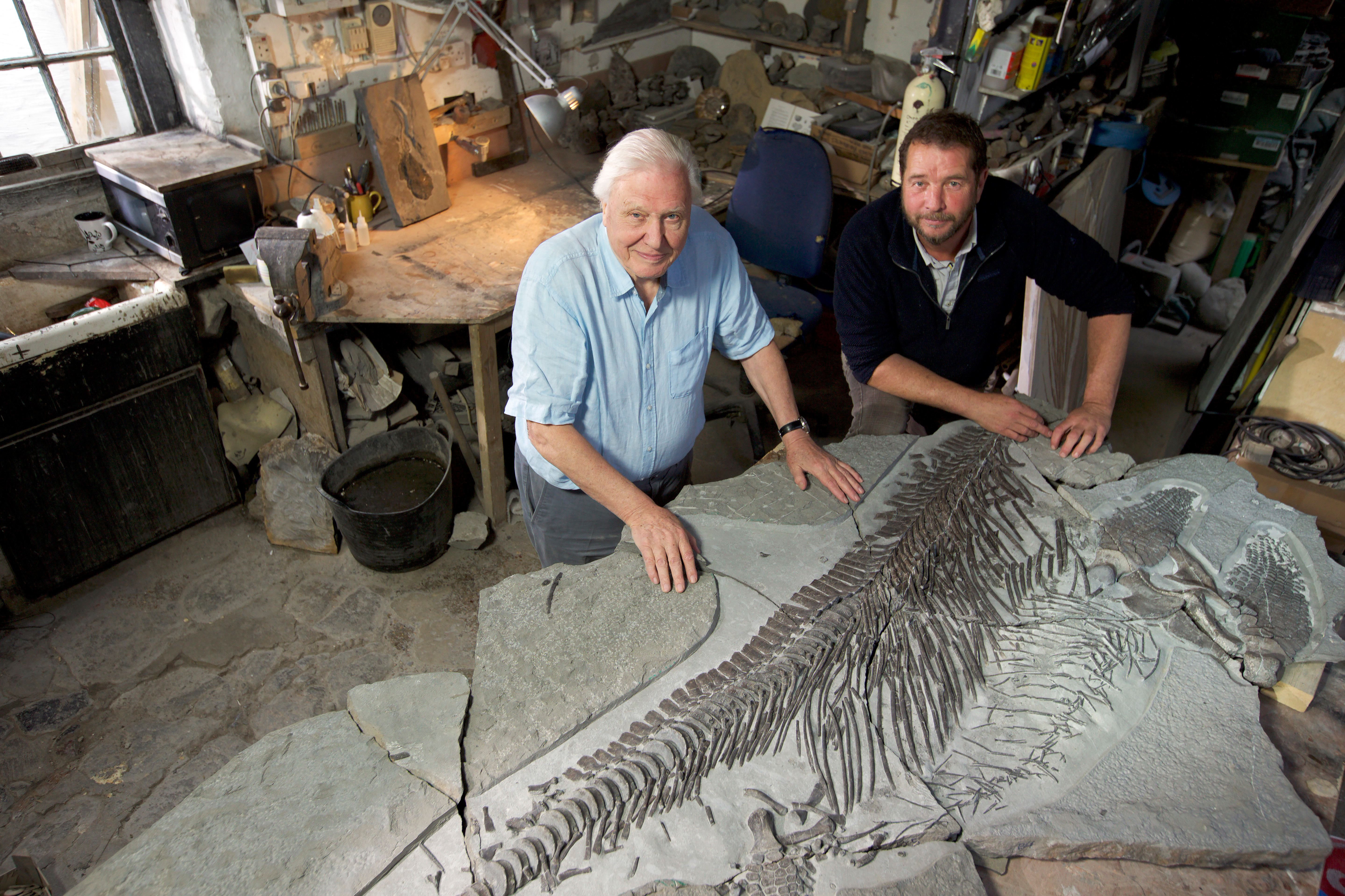 David Attenborough a mořský drak