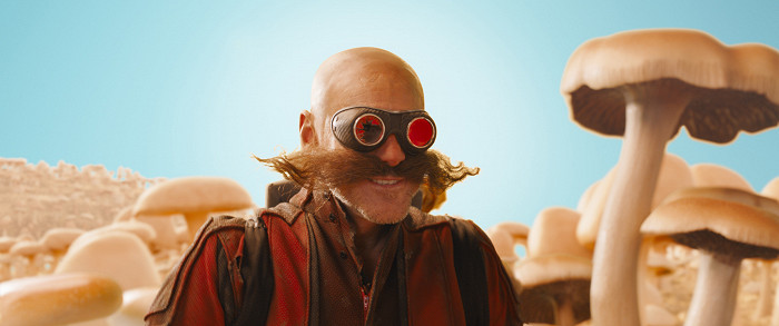 Ježek Sonic