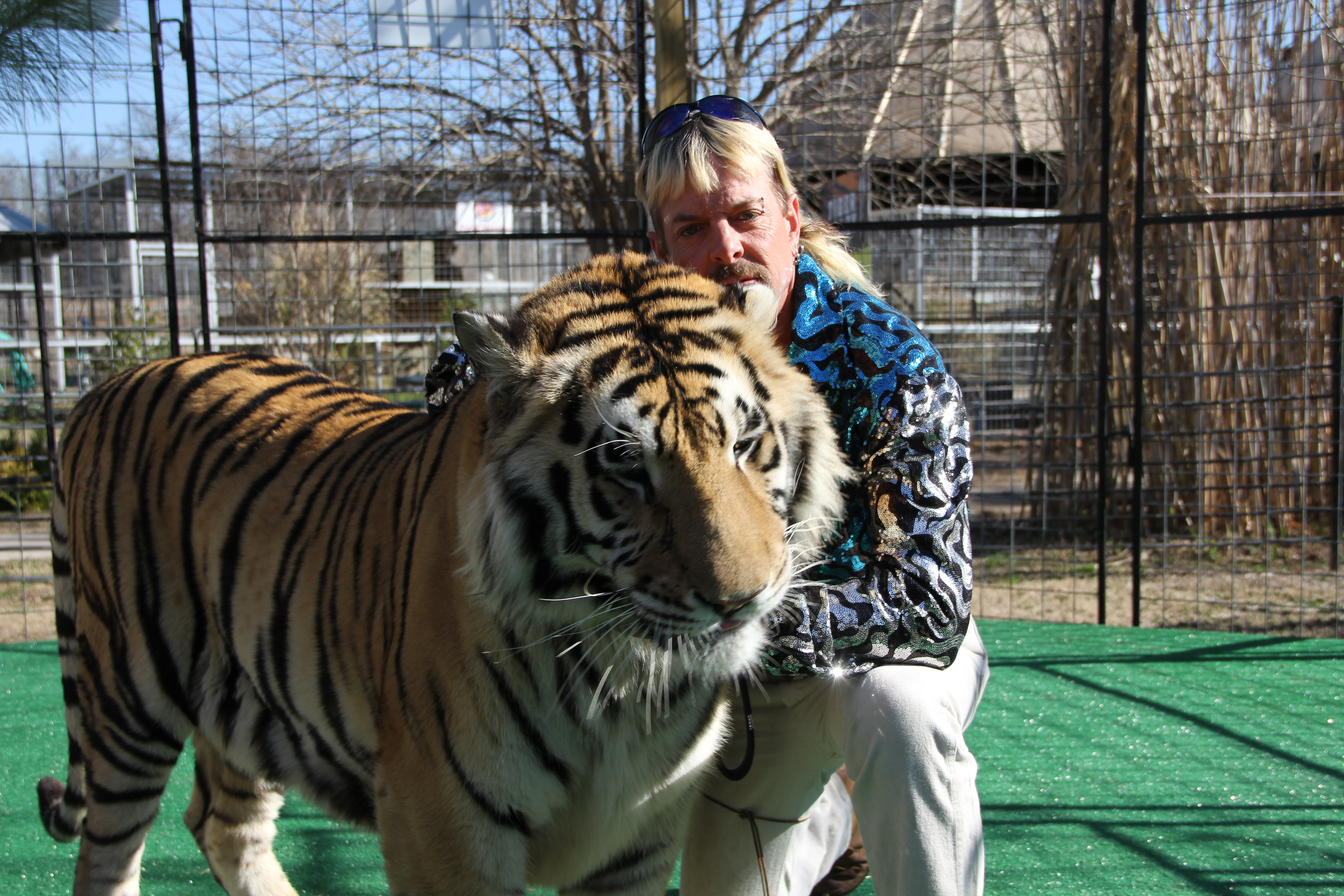 Joe Exotic: Tygři, lži a kamufláž